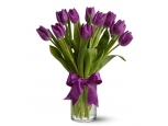 Purple Tulips - 12 Stems