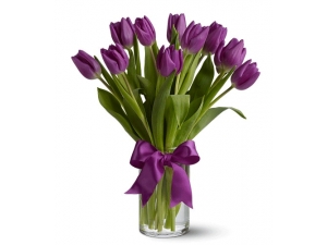 Purple Tulips - 12 Stems