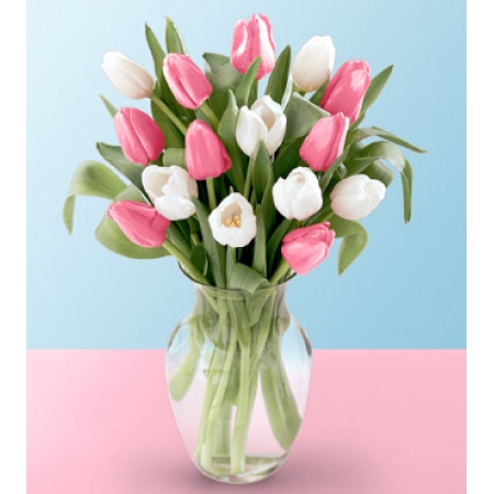 My Heart Tulips - 20 Stems