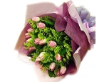 Pink Tulips - 12 Stems