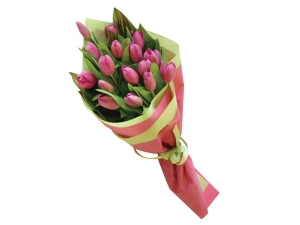 Pink Tulips - 15 Stems