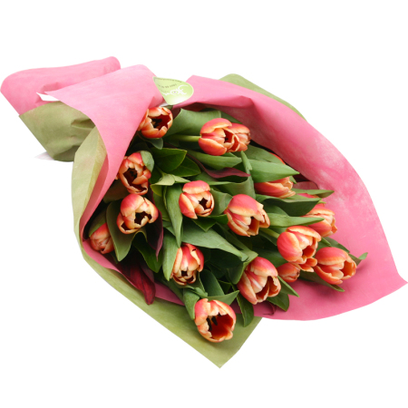 Orange Tulips - 15 Stems