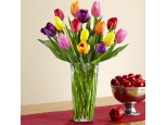 Multi-Colored Tulips - 12 Stems