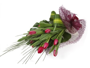 Pinkish Tulips - 12 Stems