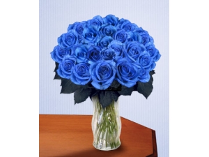 Blue Clues - 24 Stems In Vase