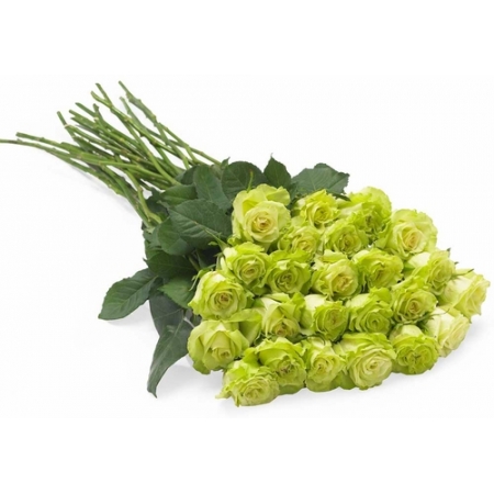 Floral Jewel - 24 Stems Bouquet