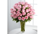 Soft Pink - 36 Stems In Vase
