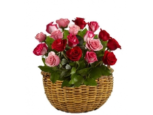 Cupids Kiss - 24 Stems Basket