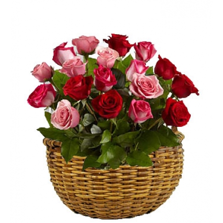 Cupids Kiss - 24 Stems Basket
