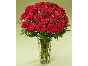 Ruby Roses - 24 Stems Vase