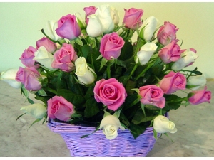Passionate Affection - 24 Stems Basket