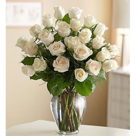 For All Occasion - 24 Stems Vase