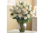 For All Occasion - 24 Stems Vase