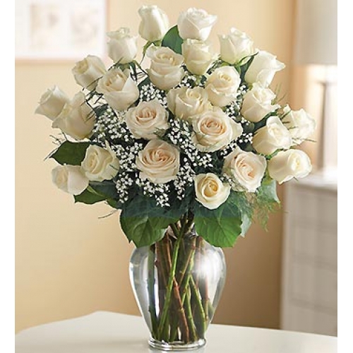 Sweetness Roses