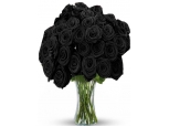 Black Magic - 24 Stems Vase