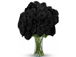 Black Magic - 24 Stems Vase