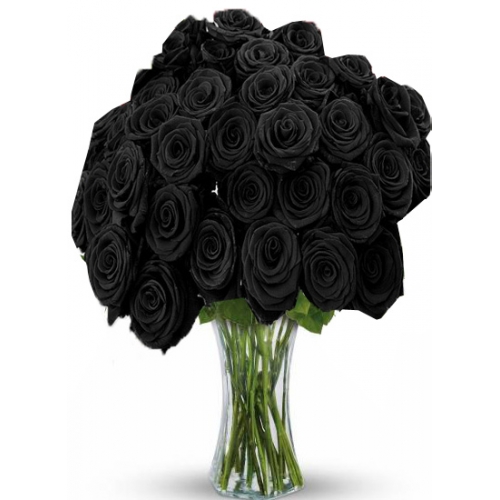 Black Magic - 24 Stems Vase