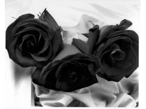 Black Flashing - 3 Stems Bouquet