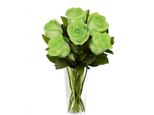 Blooming Green - 6 Stems Vase