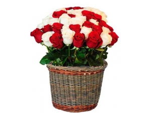 Bright Roses - 24 Stems Basket