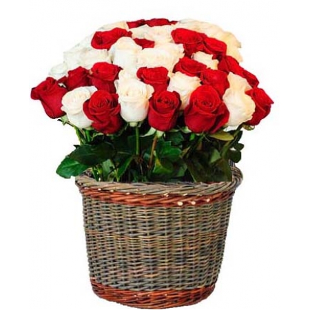 Bright Roses - 24 Stems Basket