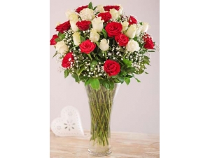 Splendid Roses - 36 Stems Vase
