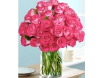 Pink Pearl - 36 Stems In Vase