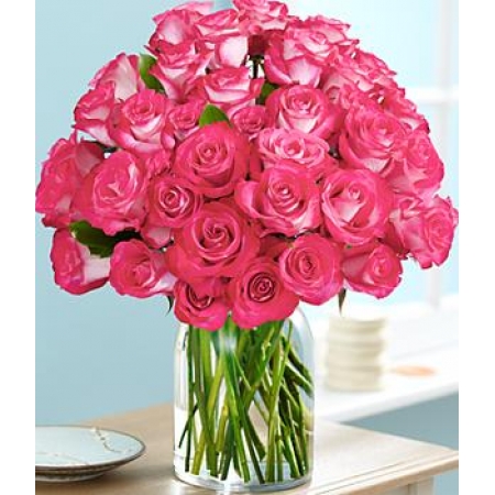 Pink Pearl - 36 Stems In Vase