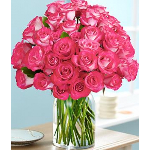 Pink Pearl - 36 Stems In Vase