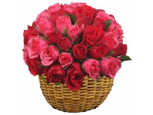Valentines Red and Pink - 36 Stems Basket