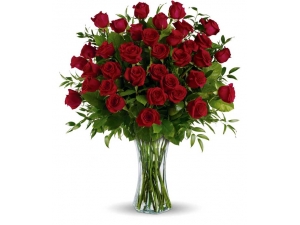 Truly Impressive - 36 Stems In Vase