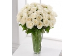 Representing Innocence - 36 Stems In Vase
