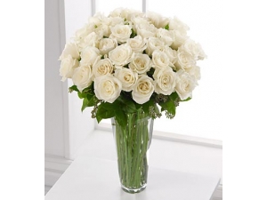 Representing Innocence - 36 Stems In Vase