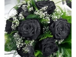 Black Roses - 6 Stems Bouquet