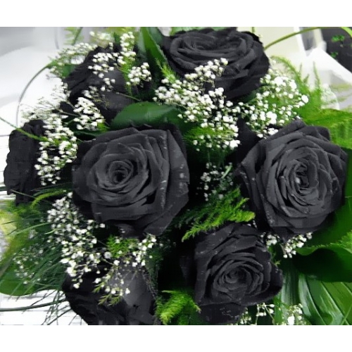 Black Roses - 6 Stems Bouquet