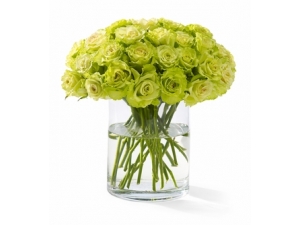 The Color of Your Day - 48 Stems In Vase
