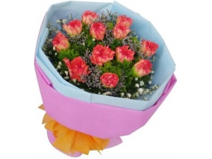 Carnations - 10 Stems Bouquet
