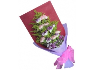 Carnation Hand Bouquet - 10 Stems Bouquet