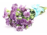 Purple Carnations - 10 Stems Bouquet