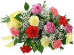 Rainbow Carnation Bouquet - 20 Stems Bouquet