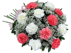 Pink & White Carnations - 20 Stems Bouquet