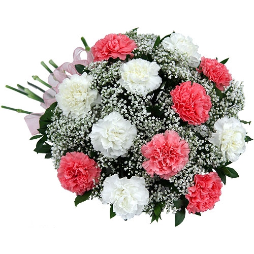 Pink & White Carnations - 20 Stems Bouquet