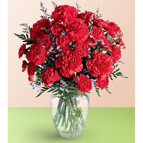 Timeless Classic - 20 Stems Vase