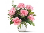 Pinkish Carnations - 6 Stems Vase