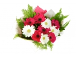 Pink and White Gerbera - 12 Stems Bouquet