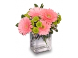 Fruit Sorbet - 4 Stems Vase