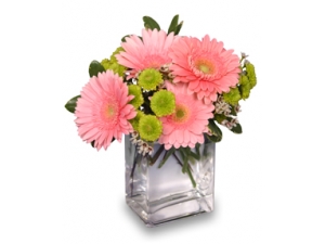 Fruit Sorbet - 4 Stems Vase