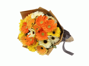 Sunshine Gerbera - 30 Stems Bouquet
