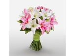 Asiatic Lilies 