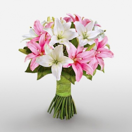 Asiatic Lilies 
